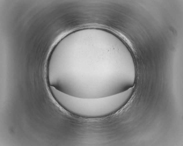 X0000115431381200912020915