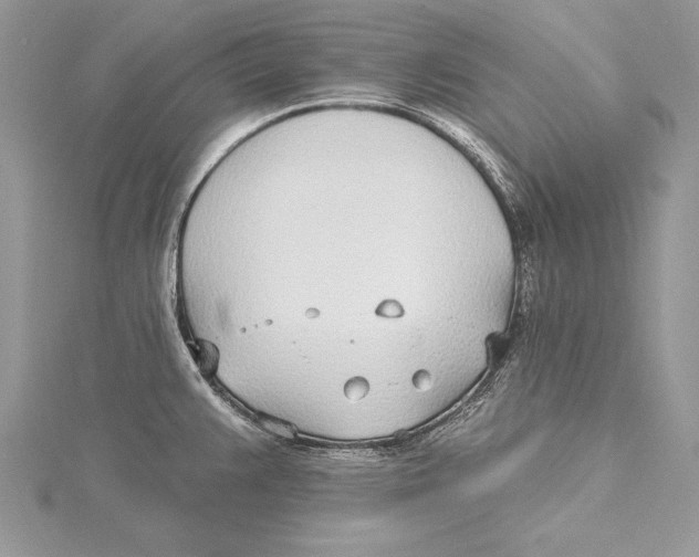 X0000115431383200912020915