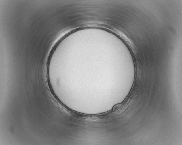 X0000115431384200912020915