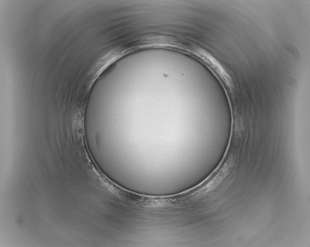 X0000115431385200912020915