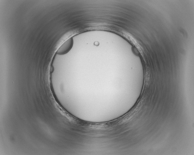 X0000115431386200912020915