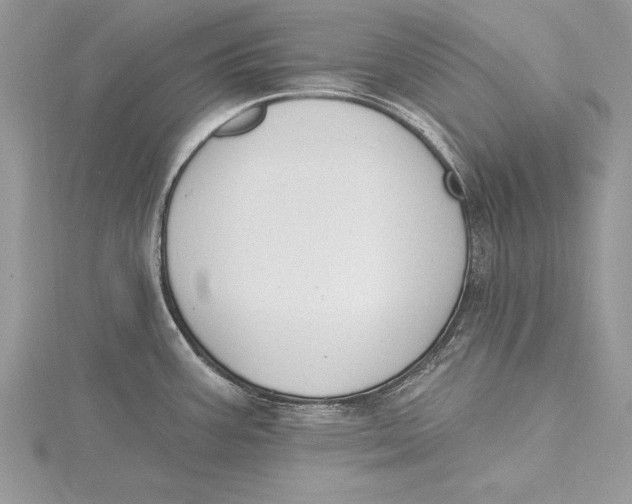 X0000115431387200912020915