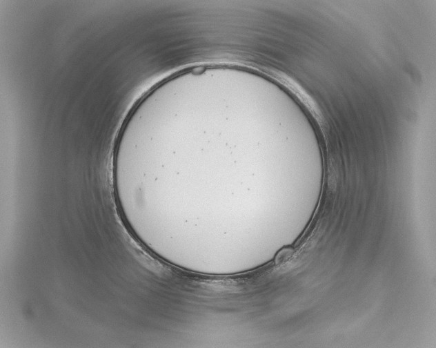 X0000115431388200912020915