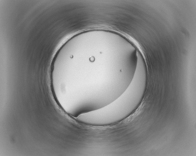 X0000115431389200912020915