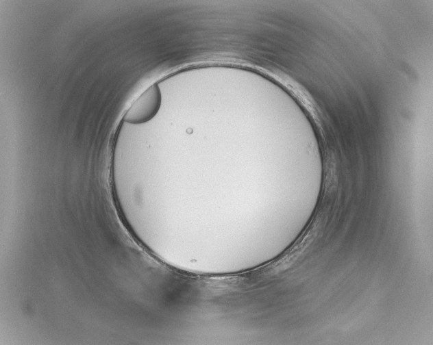 X0000115431390200912020915