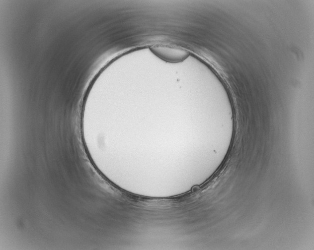 X0000115431392200912020915