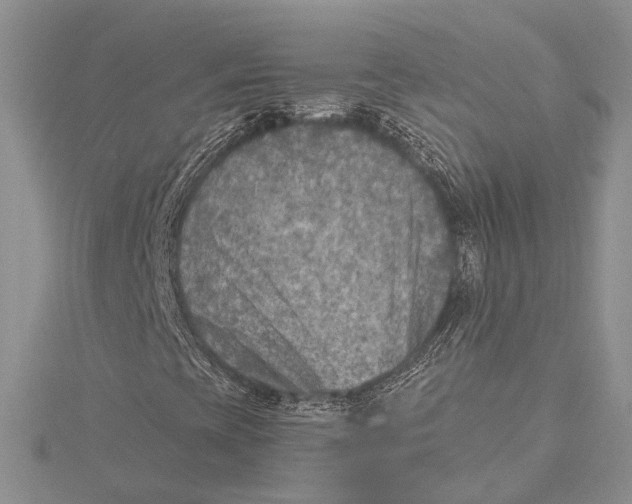 X0000115431393200912020914