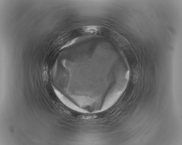 X0000115431394200912020914