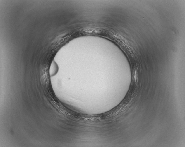 X0000115431396200912020914