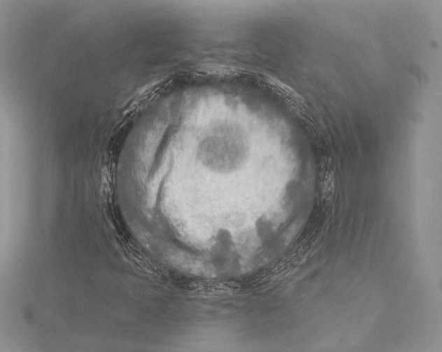 X0000115431397200912020914