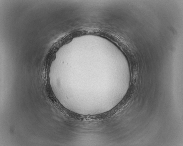 X0000115431398200912020914