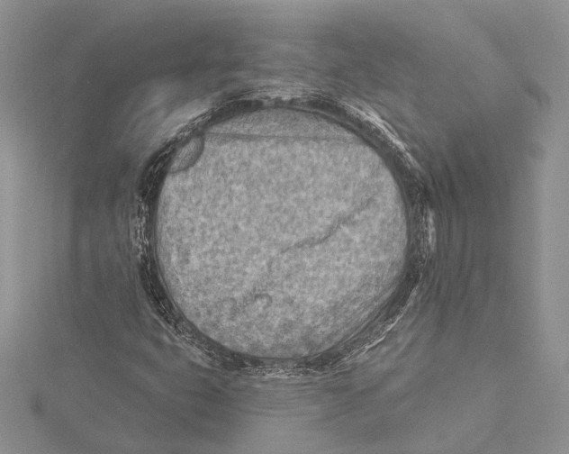 X0000115431399200912020915