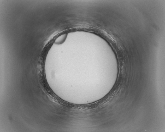 X0000115431400200912020915