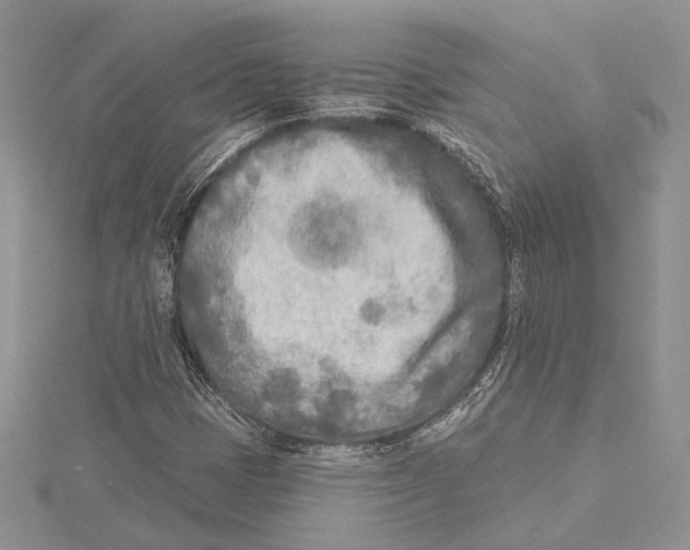 X0000115431401200912020915