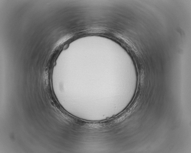 X0000115431402200912020915