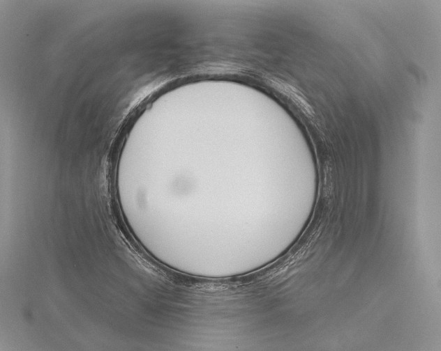 X0000115431404200912020915