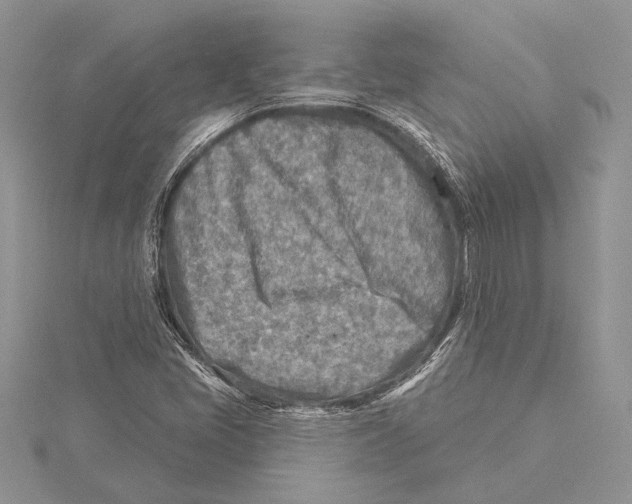 X0000115431405200912020915