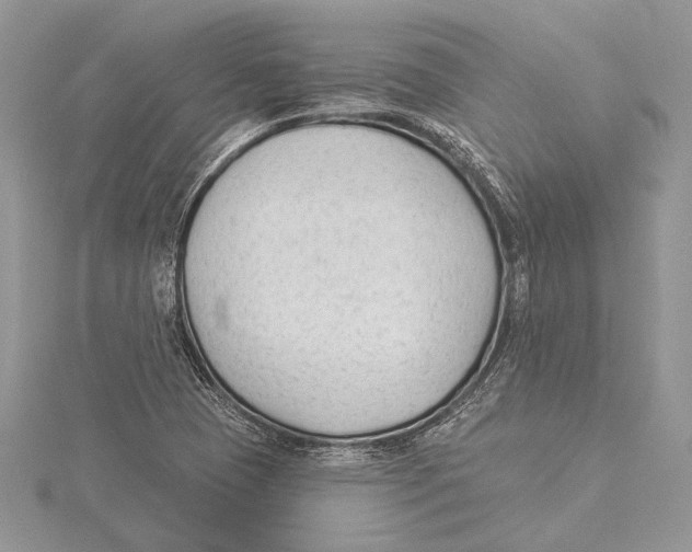 X0000115431409200912020915