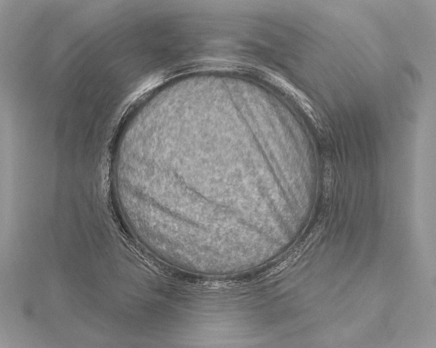 X0000115431411200912020915