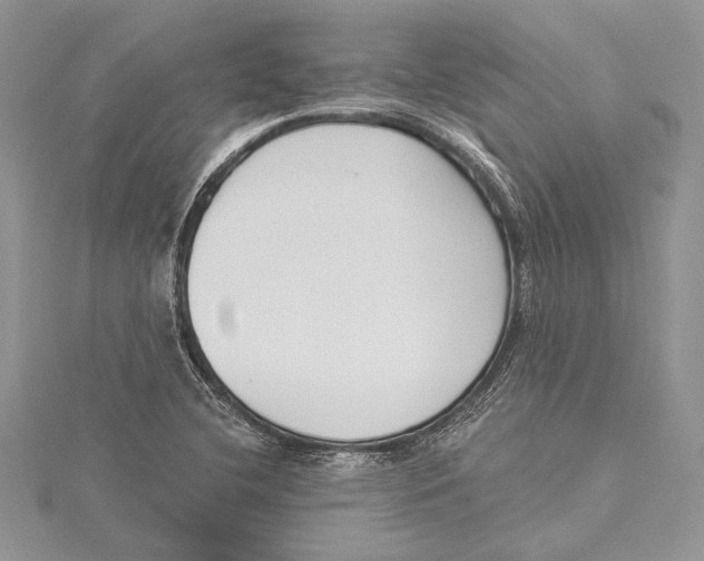 X0000115431412200912020915