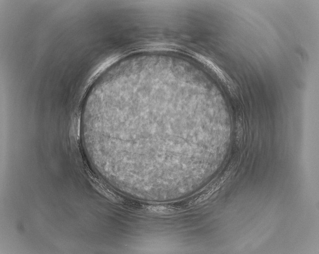 X0000115431413200912020915