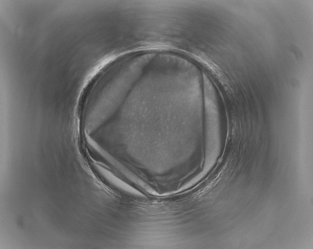 X0000115431414200912020915