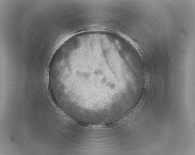 X0000115431415200912020915