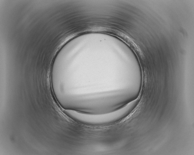 X0000115431417200912020915