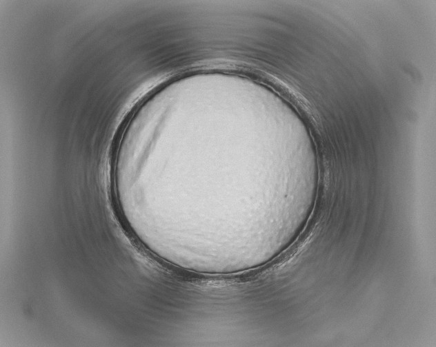 X0000115431418200912020915