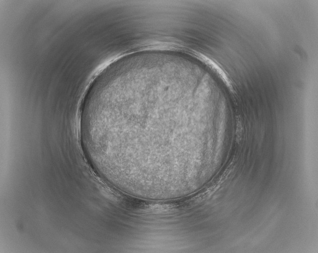 X0000115431419200912020915