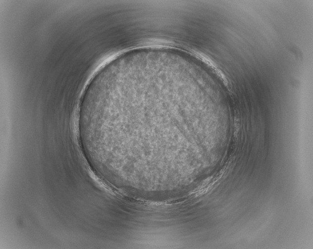 X0000115431421200912020915