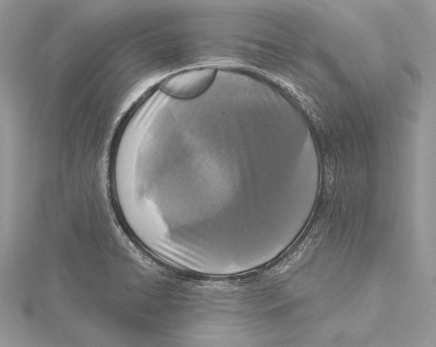 X0000115431422200912020915