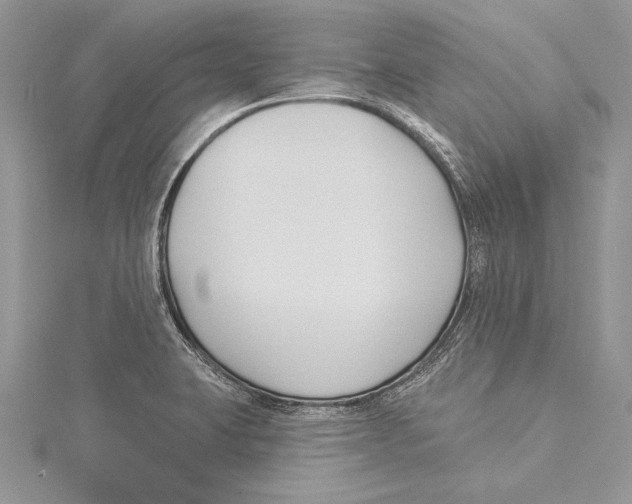 X0000115431423200912020915