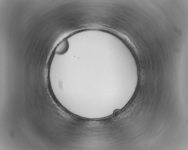 X0000115431424200912020915