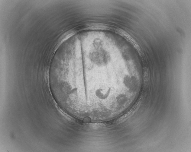 X0000115431425200912020915