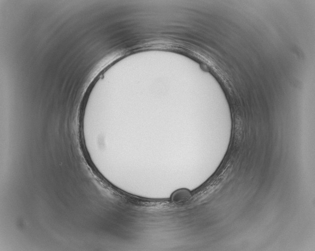 X0000115431426200912020915