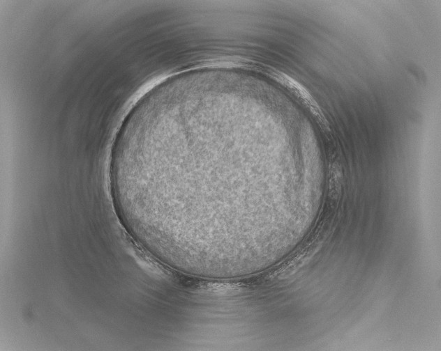 X0000115431427200912020915