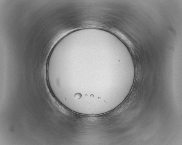 X0000115431431200912020915