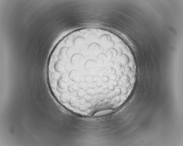 X0000115431432200912020915