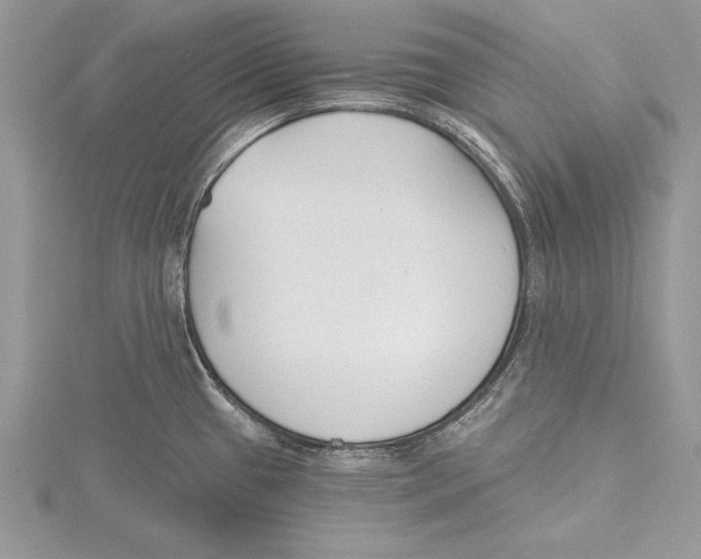 X0000115431433200912020915