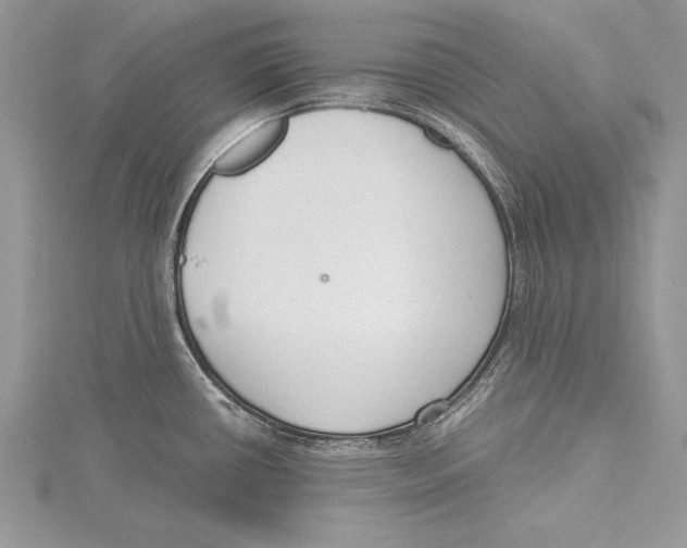 X0000115431434200912020915