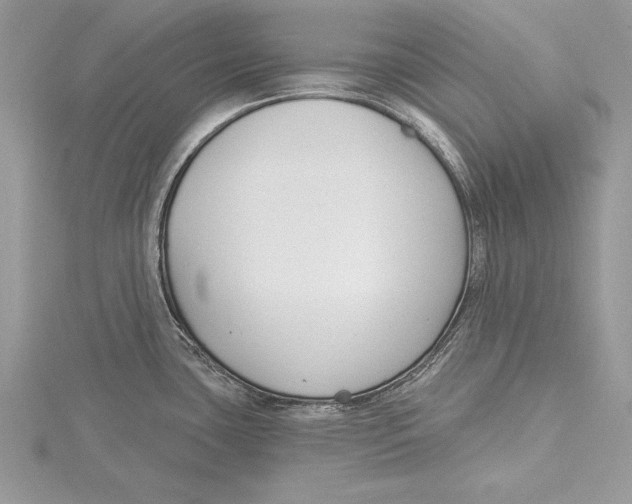 X0000115431435200912020915