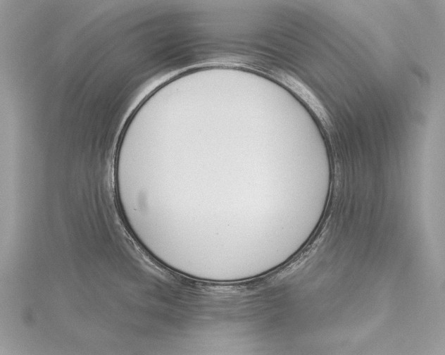 X0000115431436200912020915