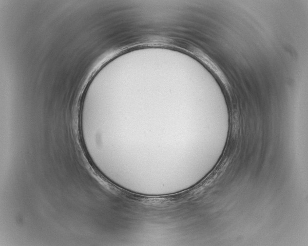 X0000115431437200912020915