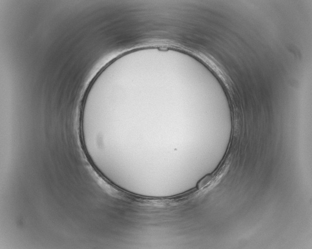 X0000115431438200912020915