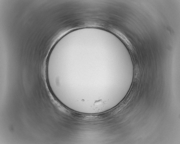 X0000115431439200912020915