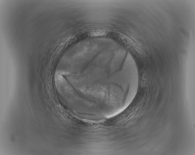 X0000115431441200912020914