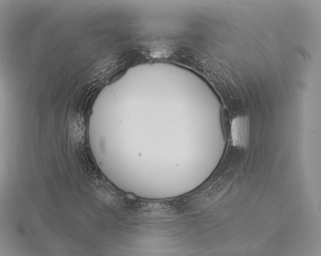 X0000115431443200912020914