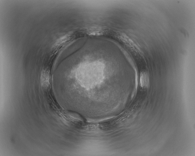 X0000115431444200912020914