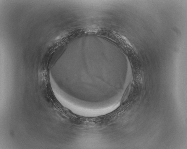 X0000115431445200912020914